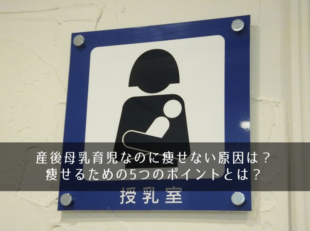 産後母乳育児なのに痩せない原因は 痩せるための5つのポイントとは きになるのーと